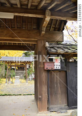 羽島一乗寺のイチョウ 羽島一乗寺のイチョウ 123484905