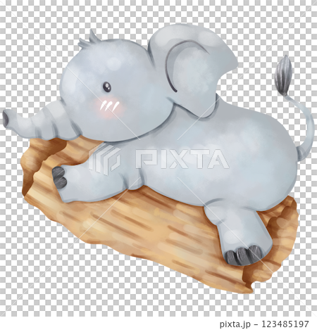 hand drawn watercolor cute elephant cartoon 123485197