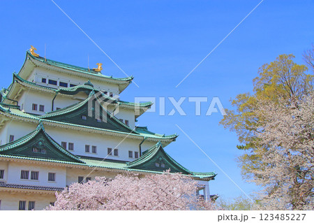 愛知県名古屋市、満開の桜と名古屋城の風景 123485227