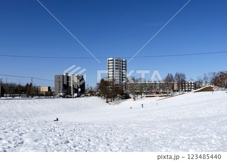 雪解けが進む公園で「ソリ滑り」 123485440
