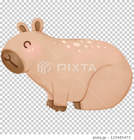 Cartoon hand drawn watercolor capybara 123485473