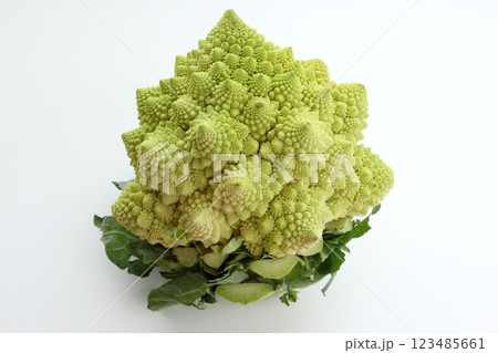 ロマネスコ ロマネスコ 123485661