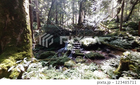 光射す瓜割の滝 123485711