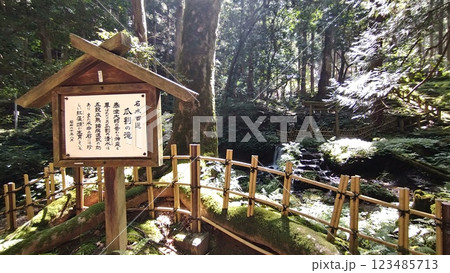 光射す瓜割の滝 光射す瓜割の滝 123485713