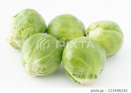 白背景に芽キャベツ 123486282