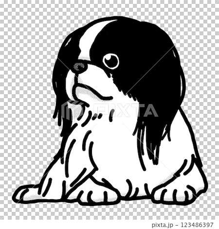 下巴，日本下巴，黑白，透明背景，狗插圖 123486397