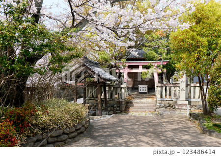 岐阜県大垣市船町_住吉神社3_2024年4月 123486414