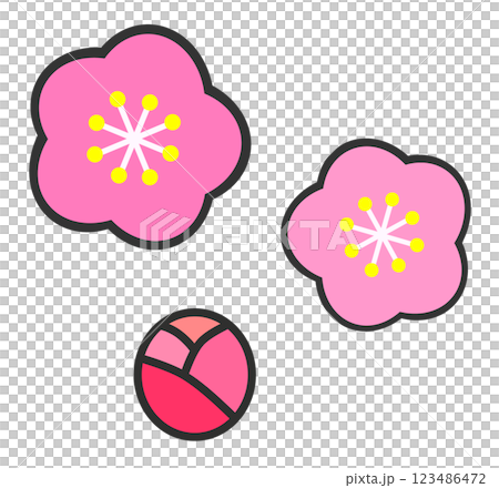 春に咲く満開で綺麗な桜の花のイラスト 春に咲く満開で綺麗な桜の花のイラスト 123486472