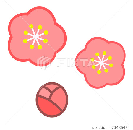 春に咲く満開で綺麗な桜の花のイラスト 123486473