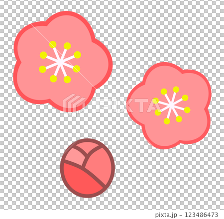 春に咲く満開で綺麗な桜の花のイラスト 123486473