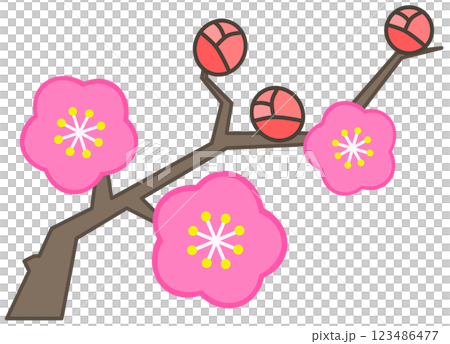An illustration of beautiful cherry blossoms in full bloom in spring 123486477