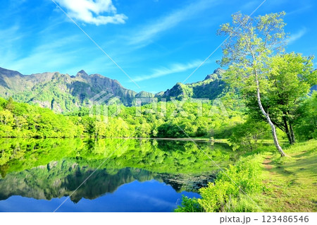夏の鏡池 夏の鏡池 123486546