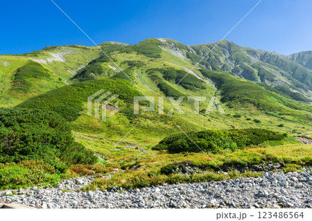 雷鳥沢登山口から見る雷鳥沢と別山乗越 北アルプス剱岳登山 雷鳥沢登山口から見る雷鳥沢と別山乗越 北アルプス剱岳登山 123486564