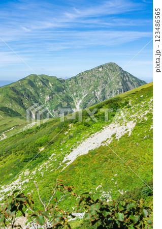 雷鳥沢登山道から見る大日連山の奥大日岳 北アルプス剱岳登山 雷鳥沢登山道から見る大日連山の奥大日岳 北アルプス剱岳登山 123486565