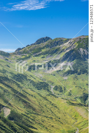 雷鳥沢登山道から見る浄土山と龍王岳　北アルプス剱岳登山 123486571