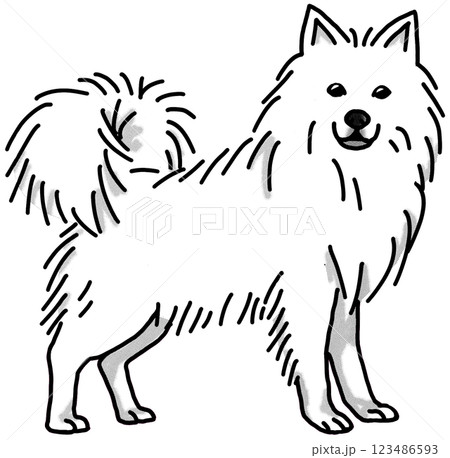スピッツ　白黒　背景透過　犬のイラスト 123486593