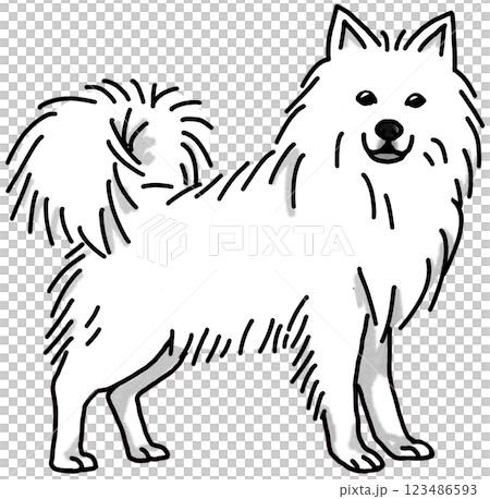 スピッツ　白黒　背景透過　犬のイラスト 123486593