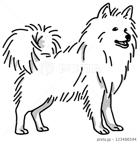 スピッツ　白黒　背景透過　犬のイラスト 123486594