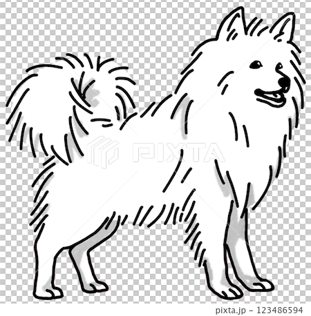 スピッツ　白黒　背景透過　犬のイラスト 123486594
