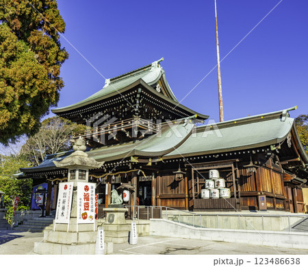 徳山　遠石八幡宮　社殿　山口県周南市 123486638