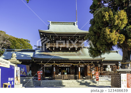徳山 遠石八幡宮 社殿 山口県周南市 徳山 遠石八幡宮 社殿 山口県周南市 123486639