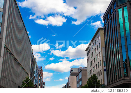 【京都風景】烏丸通りの空とビル群 【京都風景】烏丸通りの空とビル群 123486830