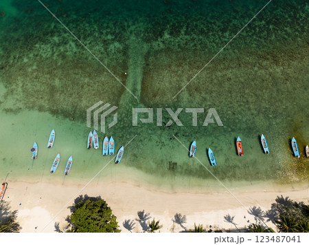 Traditional fishing boats moored near the shoreline in shallow turquoise waters over a coral seabed. Haad Rin. Ko Pha Ngan, Thailand. 123487041