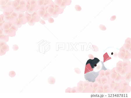 桜の花と桜文鳥と白文鳥のフレーム 123487811
