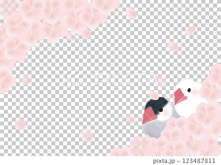 桜の花と桜文鳥と白文鳥のフレーム 123487811