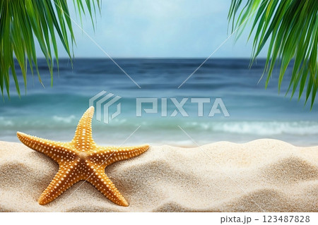 Tropical beach with sea star in sand, copyspace for text. Concept of summer relaxation 123487828