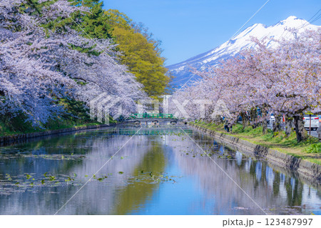 美しい青森の満開の桜 美しい青森の満開の桜 123487997