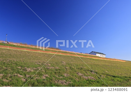 埼玉県加須市の利根川堤防の風景 埼玉県加須市の利根川堤防の風景 123488091