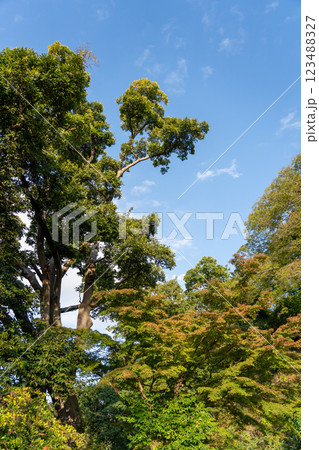 和歌山城 和歌山城 123488327