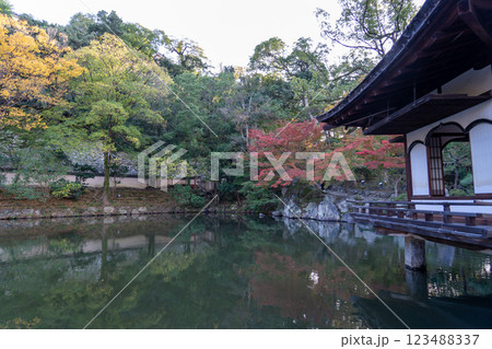 和歌山城公園 和歌山城公園 123488337