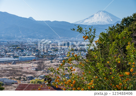 田島峠からの眺望 富士山が見える景色 早春の足柄・小田原 田島峠からの眺望 富士山が見える景色 早春の足柄・小田原 123488406