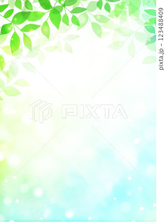 新緑の葉が茂る 新緑の葉が茂る 123488409