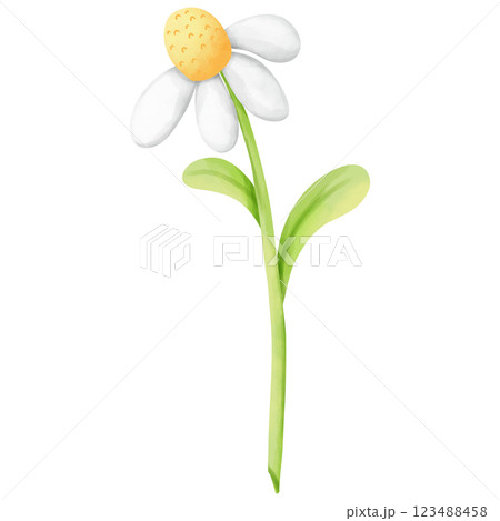 hand painted watercolor flowers 123488458