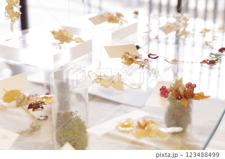 お洒落なピアスが陳列された店内 お洒落なピアスが陳列された店内 123488499