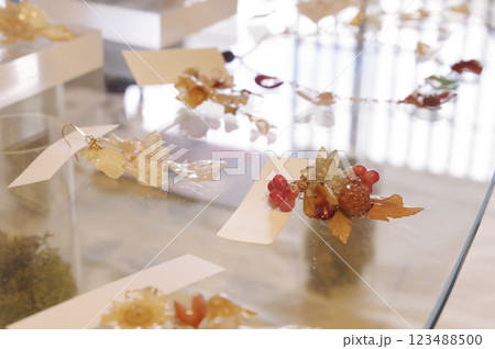 お洒落なピアスが陳列された店内 123488500