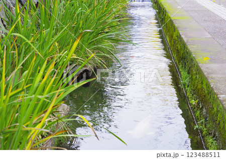 津和野町・殿町通りの堀割り 123488511