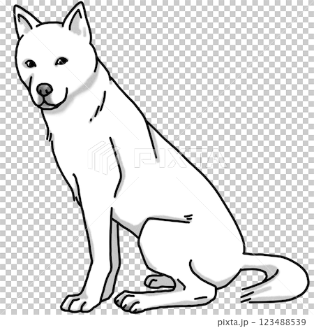 紀州犬，黑白，透明背景，狗插圖 123488539