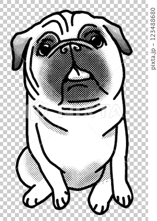 パグ　白黒　背景透過　犬のイラスト 123488680