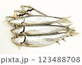 めざし(真いわし) めざし(真いわし) 123488708