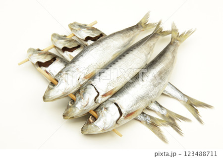 めざし（真いわし） 123488711