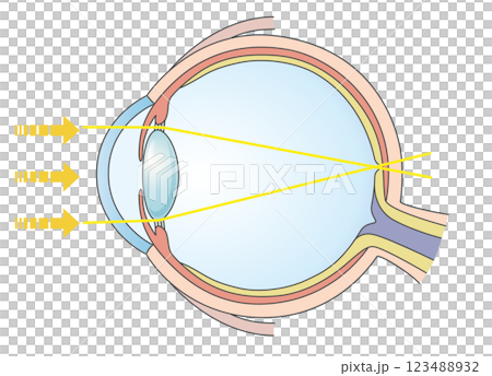 正視　正常な見え方の図解 123488932