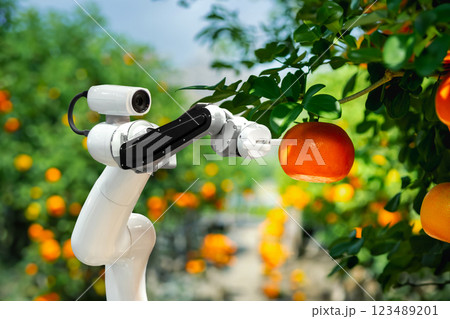The concept of agricultural robot technology to work instead of humans 123489201