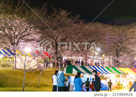 赤城南面千本桜の夜桜風景 123489428