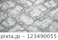 洗練された大理石の美しさ 123490055