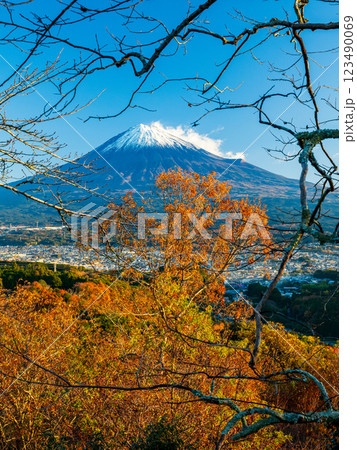 明星山の枯れ枝越しから見た紅葉と富士山 123490069