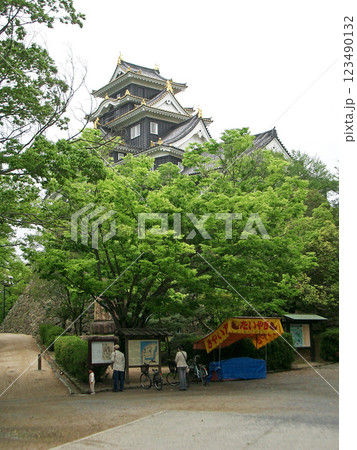 岡山県の岡山城（烏城）の入口 123490132